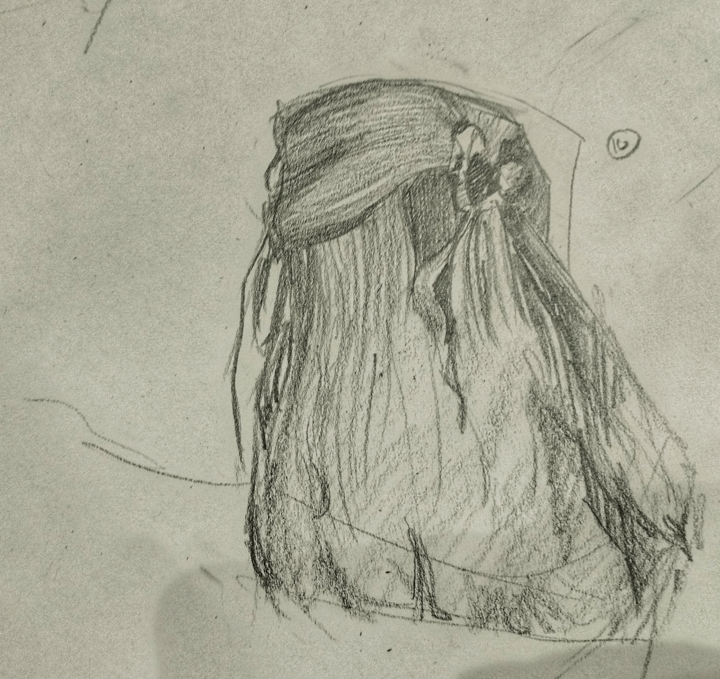 A Study of Hair