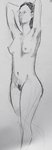 Female Figure